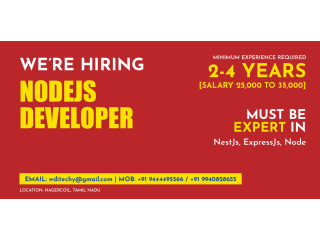 NodeJs Developer